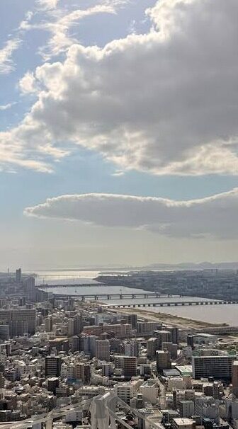 直播8足球比分-直播8足球比分，一场数字背后的激情与策略盛宴